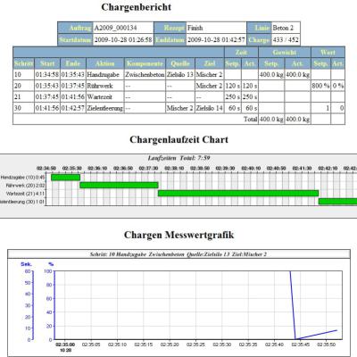 Chargenbericht1 Kopie1